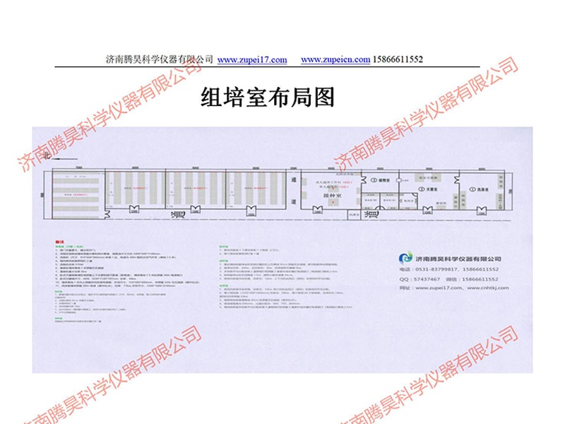 国产麻豆文化传媒精品一区室