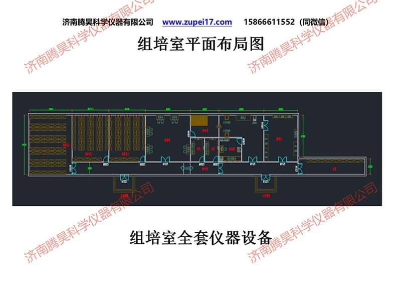 国产麻豆文化传媒精品一区  国产麻豆文化传媒精品一区室