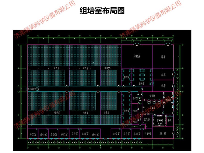 国产麻豆文化传媒精品一区室