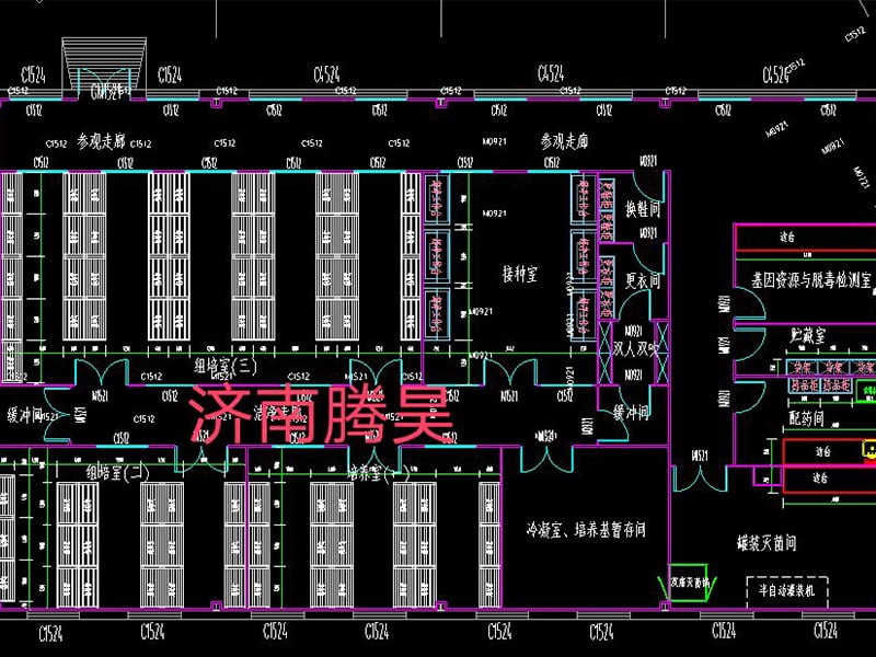 国产麻豆文化传媒精品一区  国产麻豆文化传媒精品一区室