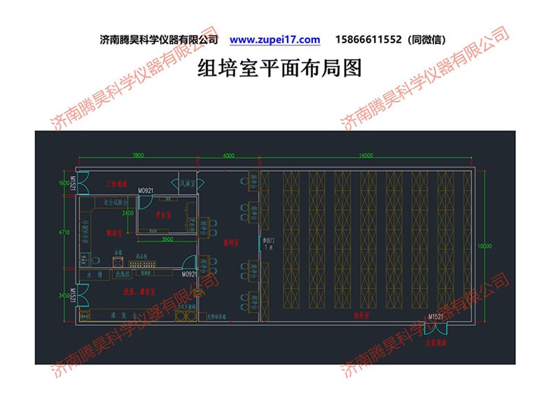 国产麻豆文化传媒精品一区室