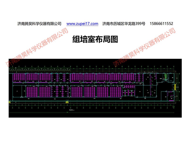 国产麻豆文化传媒精品一区  国产麻豆文化传媒精品一区室