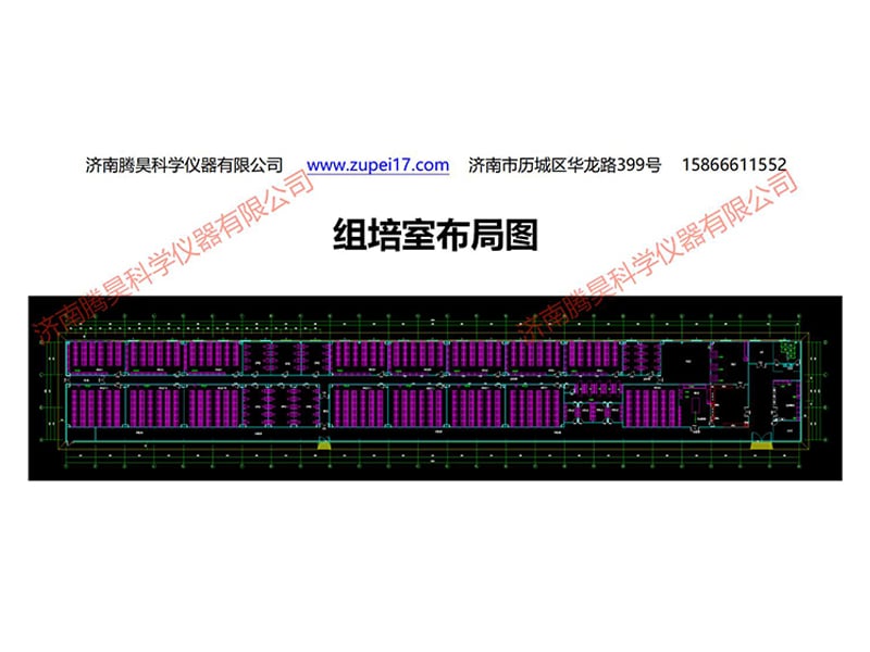 浙江植物国产麻豆文化传媒精品一区实验