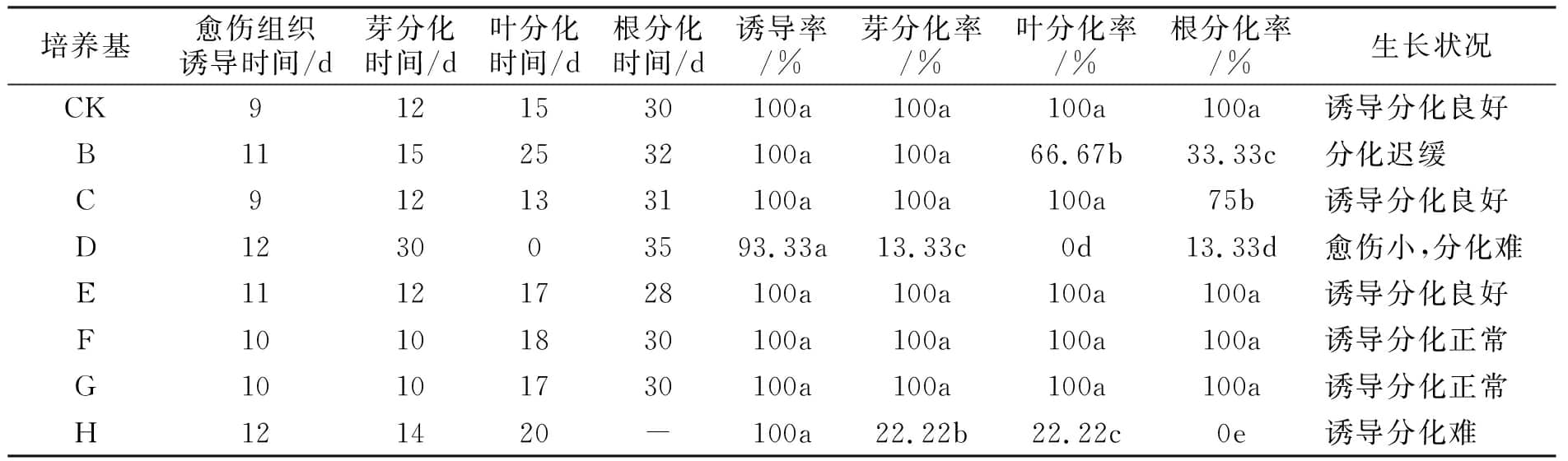 国产麻豆文化传媒精品一区设计图