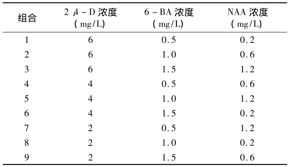 柳枝稷种子国产麻豆文化传媒精品一区快繁技术