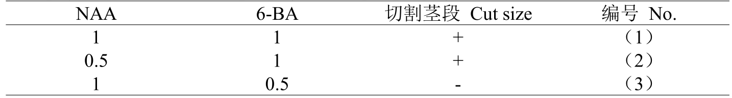 国产麻豆文化传媒精品一区室设计