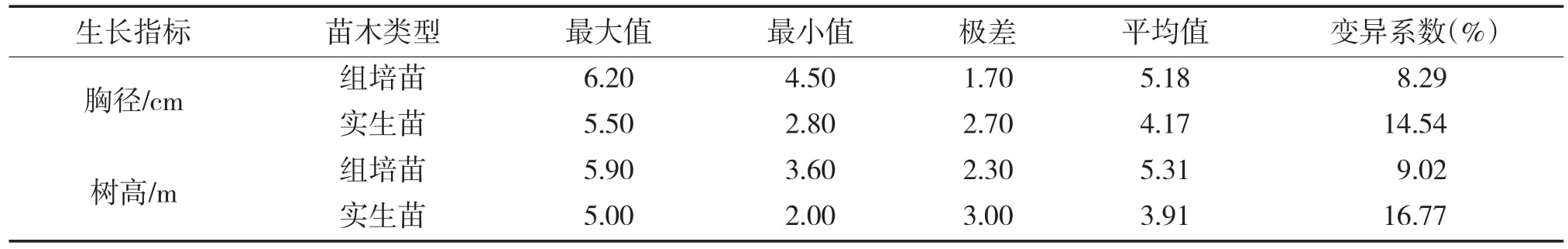 大花序桉国产麻豆文化传媒精品一区苗15个月龄幼林生长